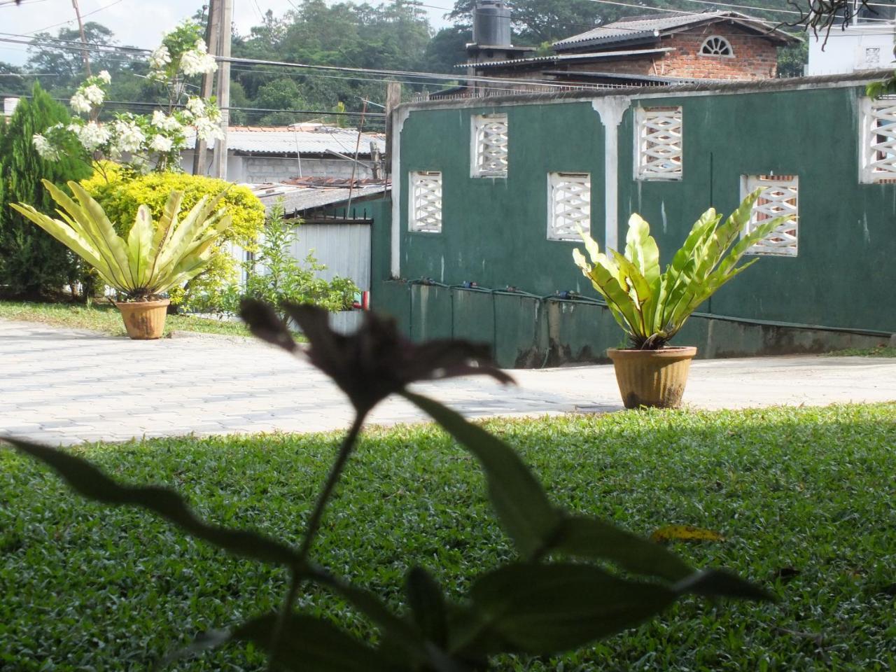 Hillsview Rest & Guest House Matale Bagian luar foto