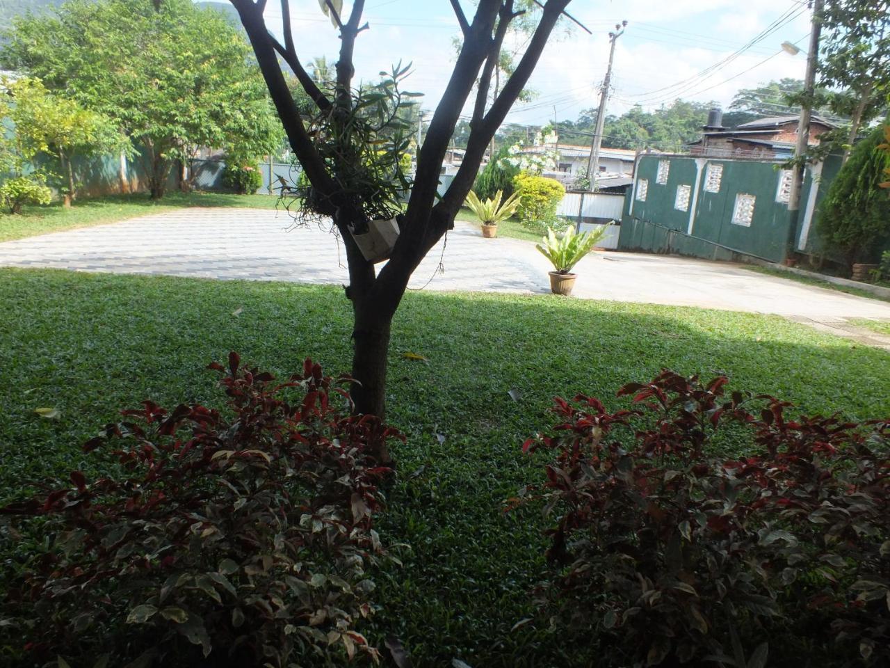 Hillsview Rest & Guest House Matale Bagian luar foto