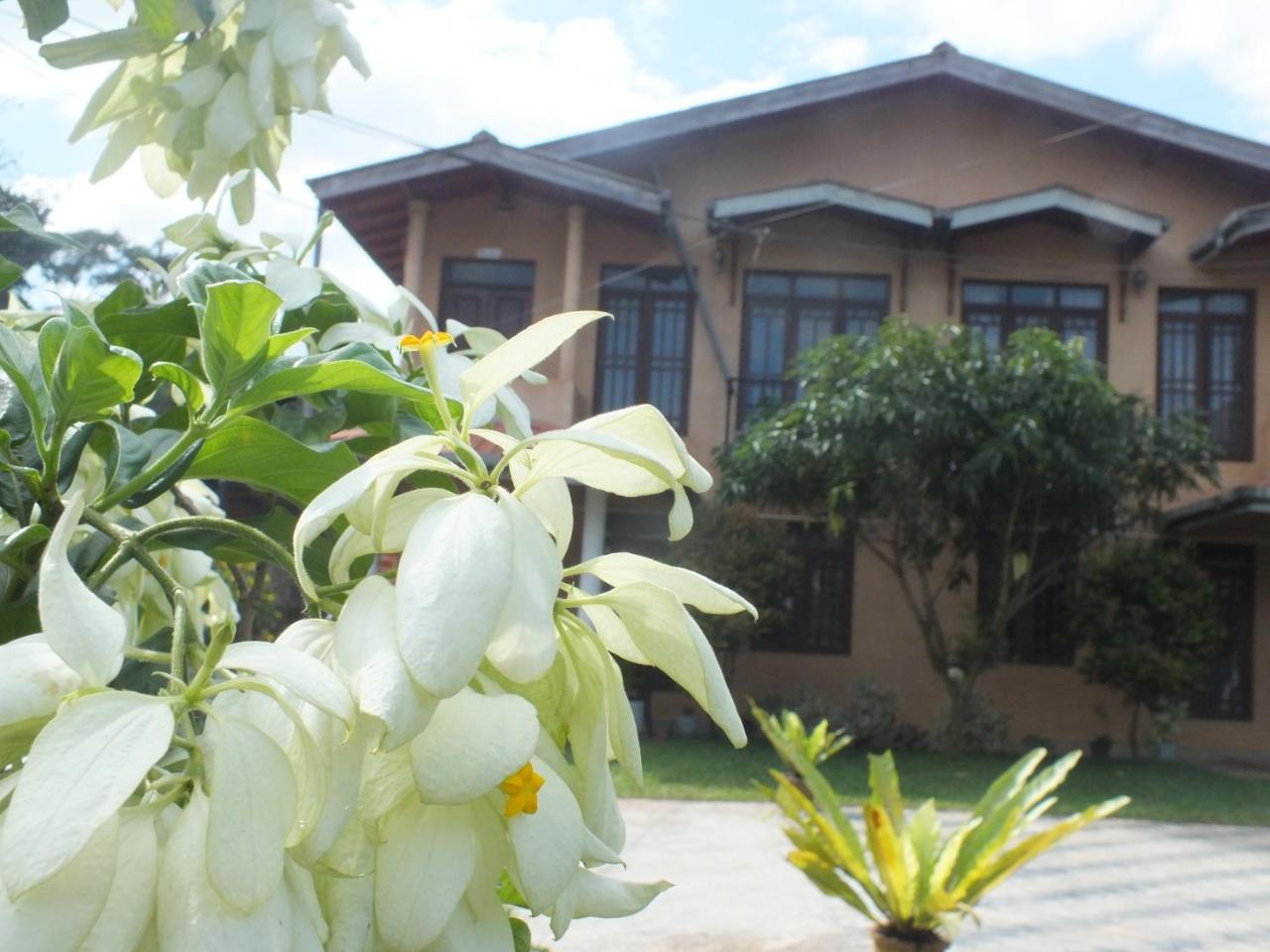 Hillsview Rest & Guest House Matale Bagian luar foto