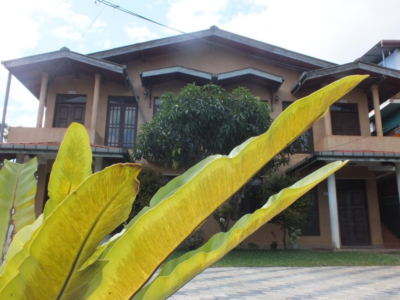 Hillsview Rest & Guest House Matale Bagian luar foto